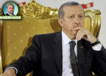 Ceviz ağacı!