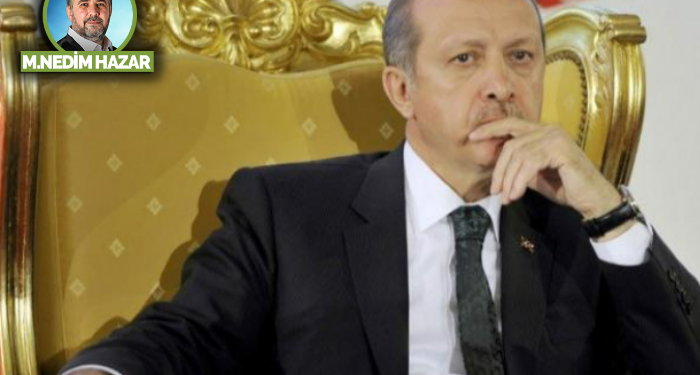 Ceviz ağacı!