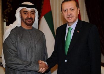 Cumhurbaşkanı Erdoğan, BAE Devlet Başkanı el Nahyan ile görüştü