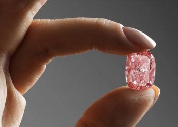 Dünyanın en nadide pembe elması 57 milyon dolara satıldı