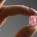 Dünyanın en nadide pembe elması 57 milyon dolara satıldı