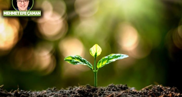 Düzelme ne zaman ve nasıl başlar?