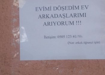 'Ev arkadaşı aranıyor' ilanında artış