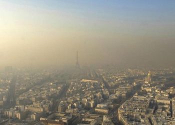 Fransız Danıştay’ı, hava kirliliği ile mücadele etmediği için Devlete 20 milyon Euro ceza kesti