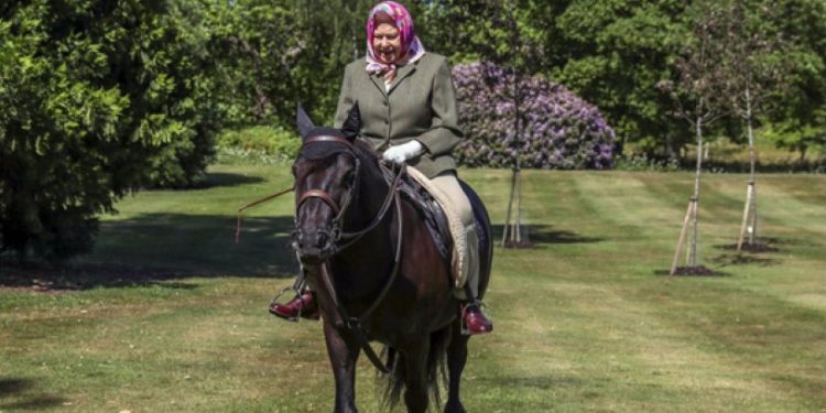 İngiltere Kralı 3. Charles, annesi Kraliçe 2. Elizabeth'in 14 atını satışa çıkardı