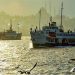 İstanbul’da 7 yeni vapur hattında seferler 1 Kasım’da başlayacak