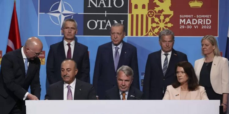 İsveç ve Finlandiya, NATO’ya katılım için Türkiye’yi ikna edebilecek mi?