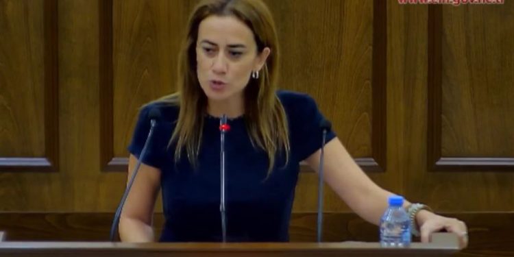 KKTC Milletvekili Derya’dan Erdoğan’a sert sözler: ‘Seçime giderken savaş tehdidini arttırıyor’