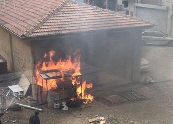 Kilitli kulübede duran köpeği yakarak öldürdüler