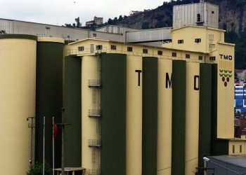 Nebati duyurdu: TMO uygun fiyatlı arpa ve mısır satışına tekrar başlayacak