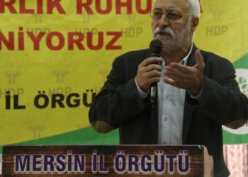 Oluç: Yok edilemeyen Kürt mücadelesi daha da güçlendi