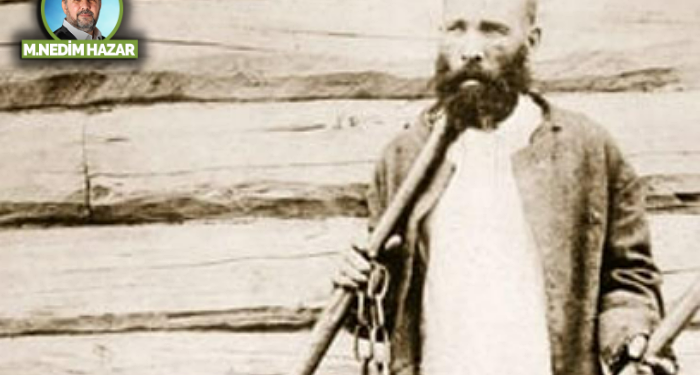 Şarik, Kultyapka ve Belka!