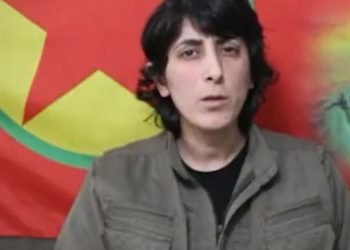 Soylu’nun, ‘Mersin saldırısının faili’ dediği Dilşah Ercan’dan videolu açıklama
