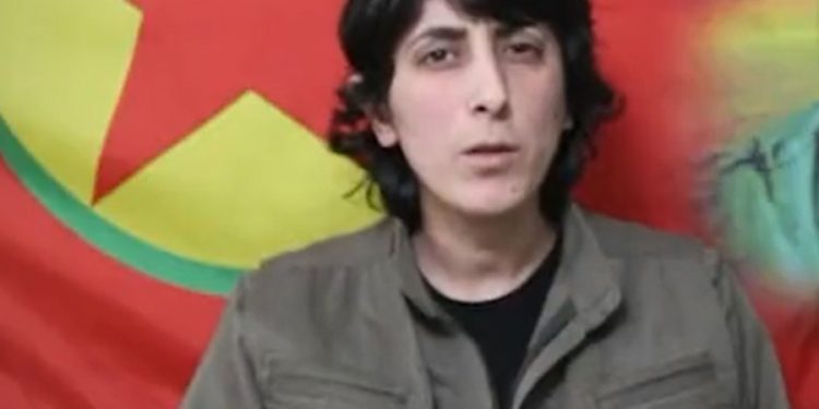 Soylu’nun, ‘Mersin saldırısının faili’ dediği Dilşah Ercan’dan videolu açıklama