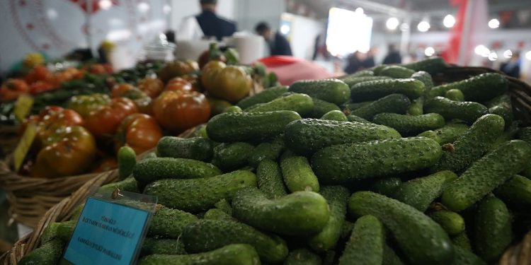 Hanehalkı tüketim harcamaları: Türkiye, Avrupa’da gıdaya en çok pay ayıran ülkelerin başında