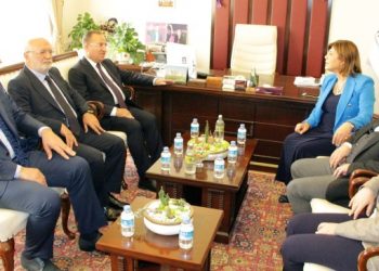 Bozdağ’dan HDP’ye Anayasa ziyareti