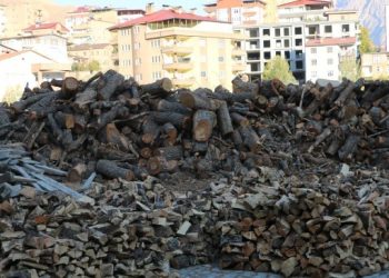 Kömür ve oduna ‘ekonomik kriz’ zammı