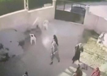 Dedeoğulları katliam davasında avukatlar salondan çıkarıldı