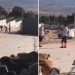Bakanlıktan Erdoğan'ın örnek gösterdiği hayvan bakımevinde yaşanan vahşetle ilgili açıklama