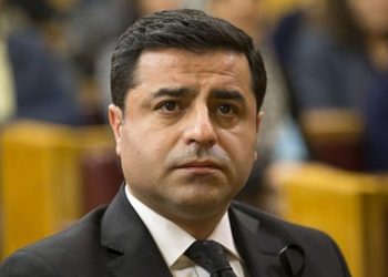Demirtaş'tan Bozkurt'un yazısına düzeltme: O cümle bana ait değil