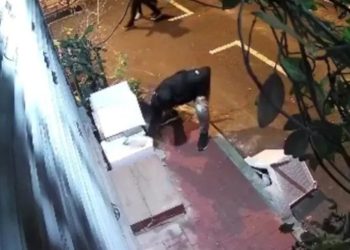 Fatih'te hayvana şiddet: İçinde kedi olan yuvayı parçaladı