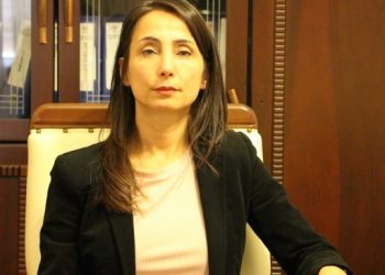 Hatimoğulları: HDP’ye gelmek durumundalar, anahtar role sahibiz