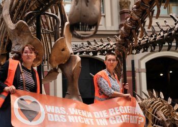 İklim aktivistleri, kendilerini müzedeki dinozor iskeletini tutan direklere yapıştırdı
