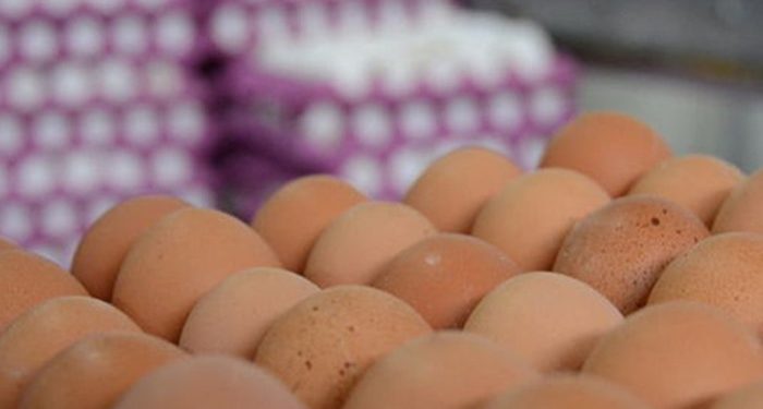 İngiltere’de süpermarketlerde yumurta satışına 3 kutu sınırlaması