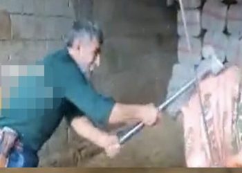 Keseceği boğayı balyozla başına vurarak öldürdü: Dört kişi gözaltında