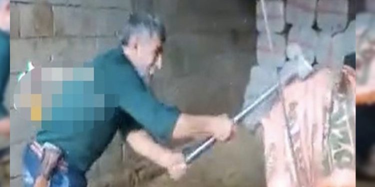 Keseceği boğayı balyozla başına vurarak öldürdü: Dört kişi gözaltında