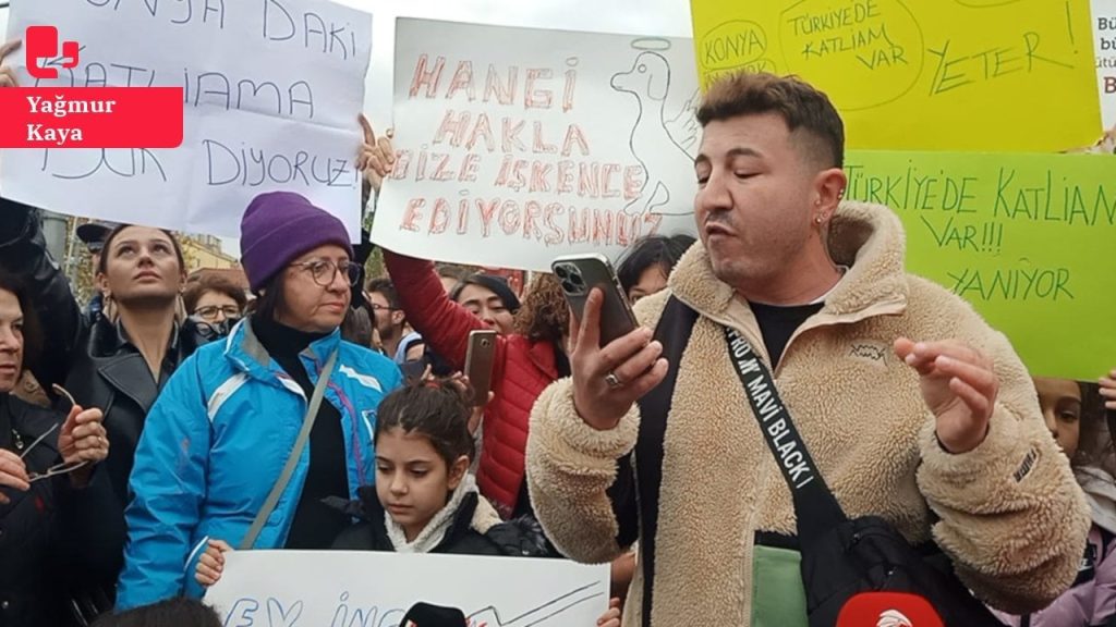 Konya barınağındaki katliam protesto edildi