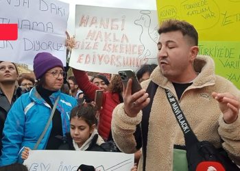 Konya barınağındaki katliam protesto edildi