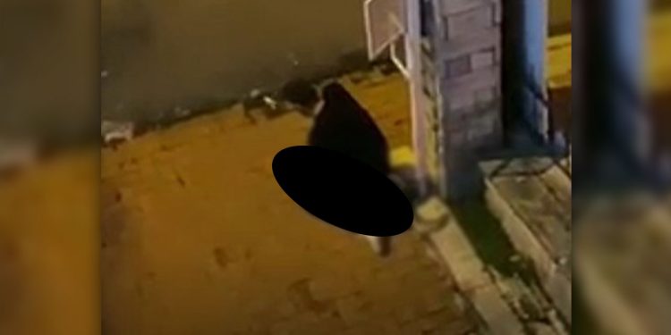 Köpeği boğarak öldürmeye çalışan şüpheli serbest bırakıldı!