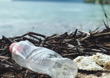 K﻿üresel Plastik Anlaşması'nın ilk müzakerelerinden neler bekleniyor?