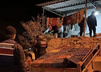 Manisa’da damat kayınbiraderini ve kayınvalidesini öldürdü