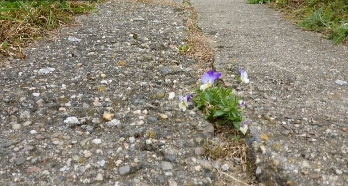 “Ne kadar çok iş var..”