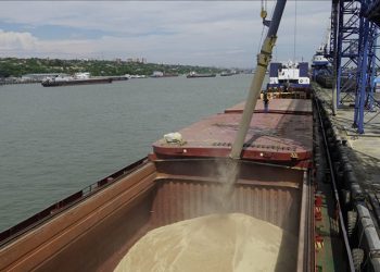 Rusya Tahıl İhracatçıları Birliği: Türkiye'de Rus tahılı dağıtım merkezi kurulması, Rus ihracatçılara sadece ek giderler getirir