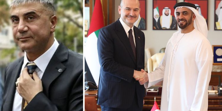 Süleyman Soylu, BAE'de mevkidaşıyla görüştü: Akıllara Sedat Peker geldi
