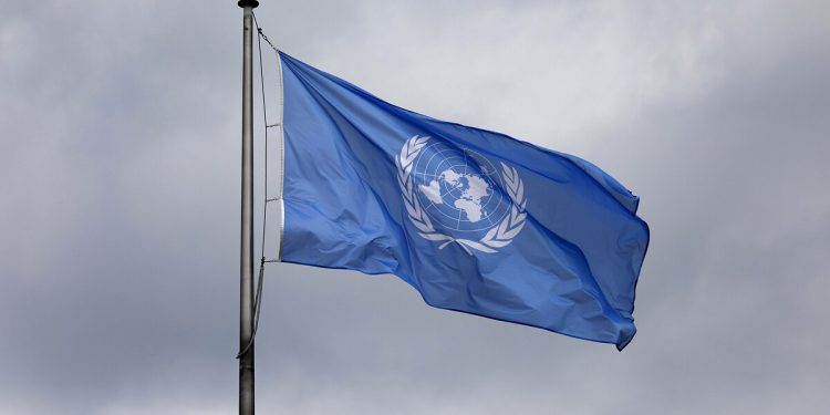 TSK’nın kimyasal silah kullandığı iddiası BM’ye taşındı