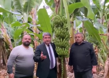 Üreticiler vahim tabloyu anlattı: "Maliyetine satamıyoruz"