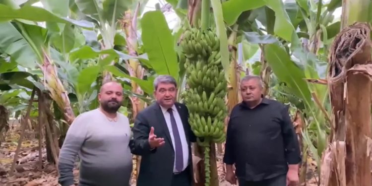 Üreticiler vahim tabloyu anlattı: "Maliyetine satamıyoruz"