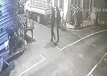 Uyuyan kedinin yuvasını yumruklayıp parçaladı