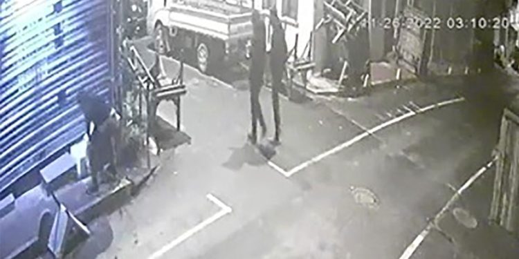 Uyuyan kedinin yuvasını yumruklayıp parçaladı