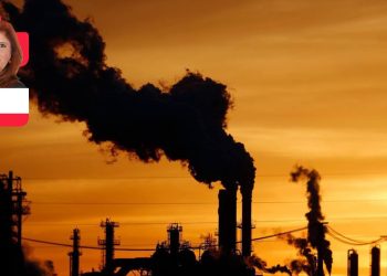 Yel değirmenlerine karşı  savaşta son perde: COP27’de  fosil yakıtların adı yok