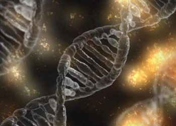 65 yıl önce cinayete kurban giden çocuğun kimliği DNA teknolojisi ile bulundu