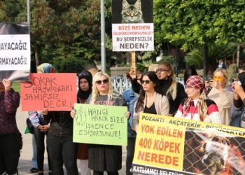 ‘Hayvanların barınaklara hapsedilmesi çözüm değil’