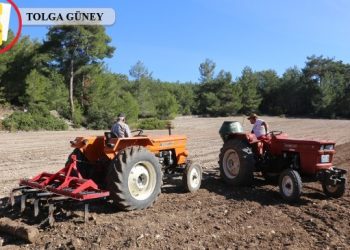 Tarım Sen: Tarım emekçilerinin sorunlarına çözüm için yola çıktık