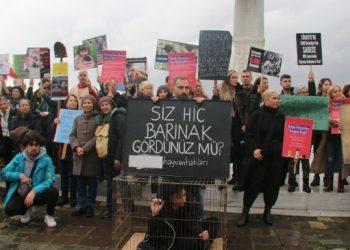 Hayvan hakları savunucuları: Ölüm getiren uygulamaya izin vermeyeceğiz