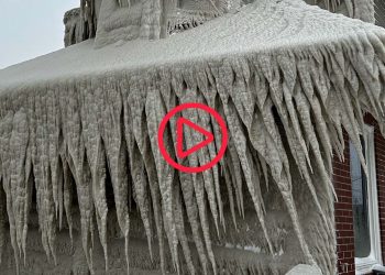 ABD'de kar fırtınası hayatı felç etti: En az 60 ölü