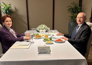 AKP’li meclis üyesinden Kılıçdaroğlu ve Akşener için çirkin paylaşım